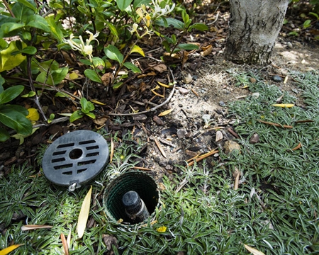 RZWS 喬灌木根部灌水器